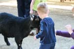 IMG_2491
