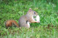 IMG_1174
